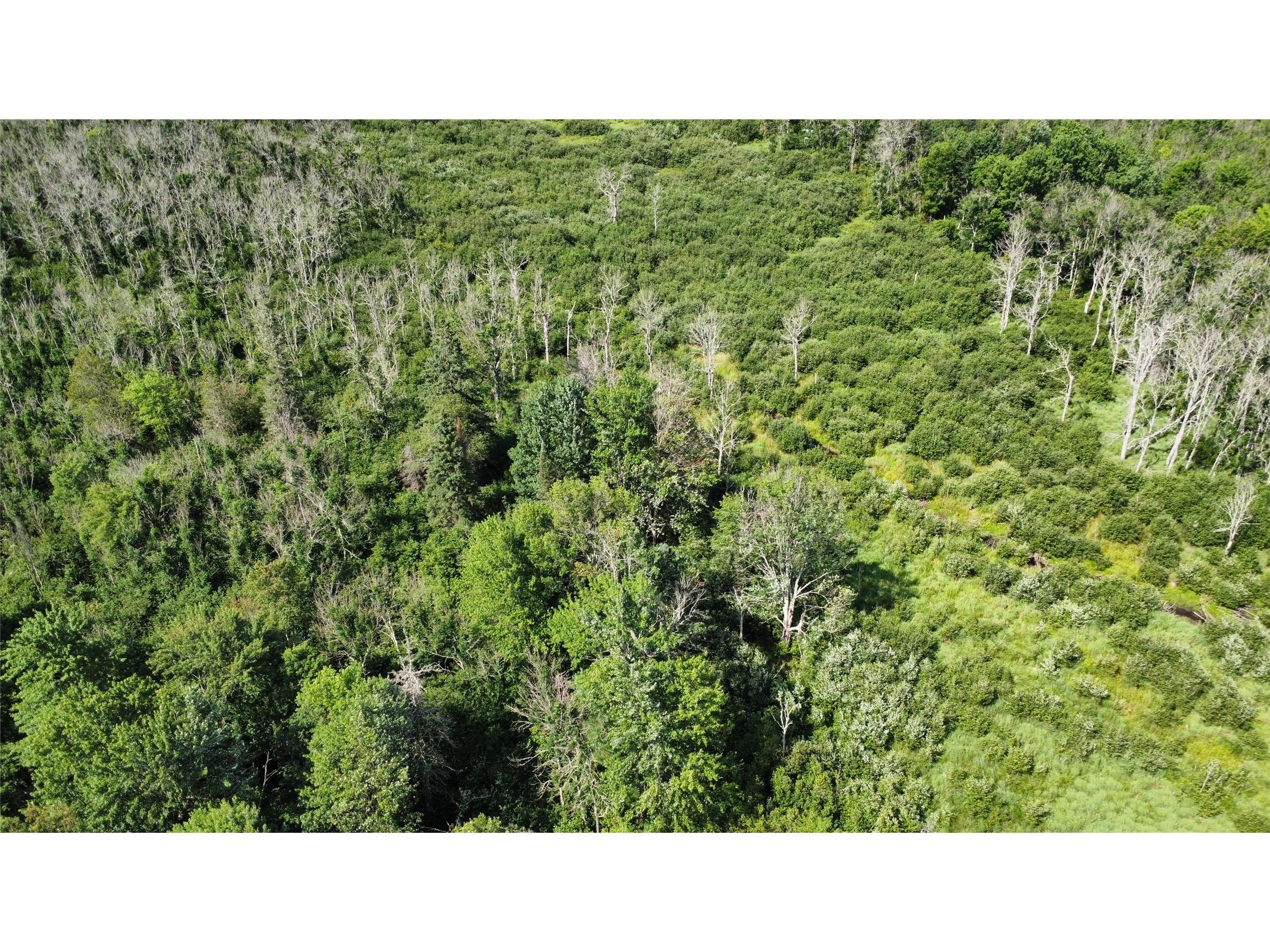 W10816 Bergman Rd. Merrill WI 54452 1603520 image21