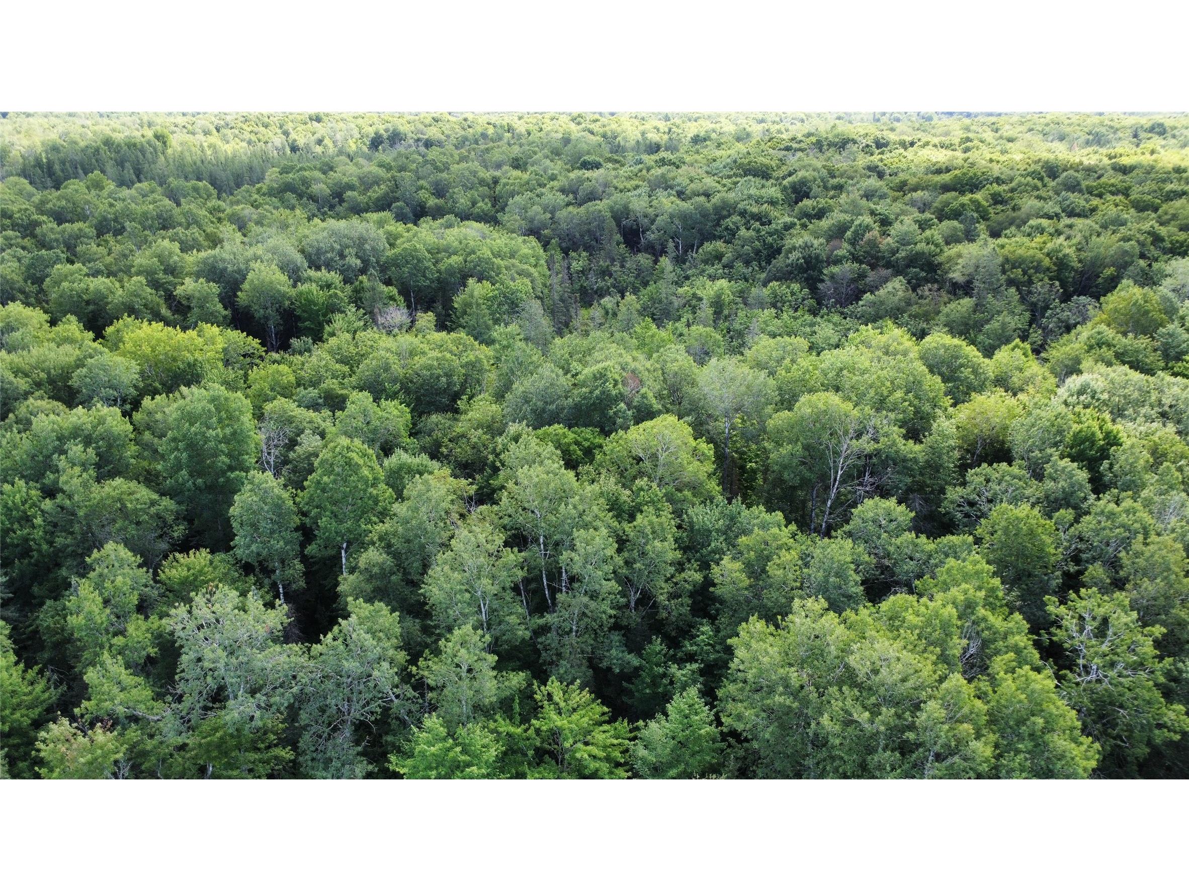W10816 Bergman Rd. Merrill WI 54452 1603520 image23