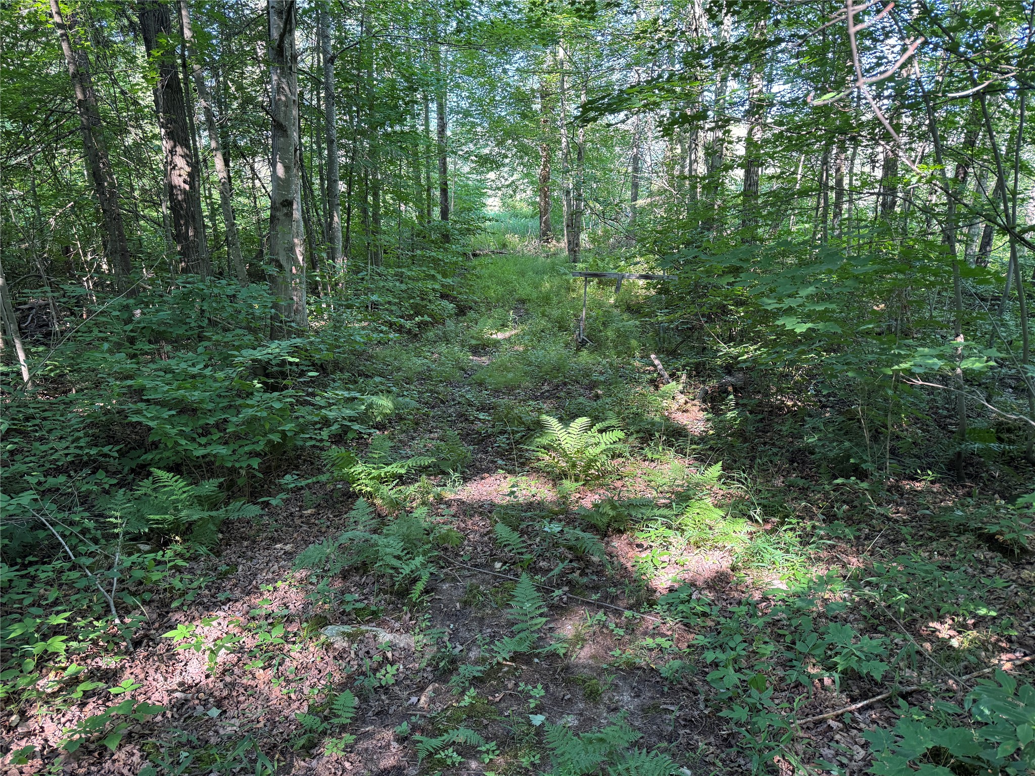 W10816 Bergman Rd. Merrill WI 54452 1603520 image26