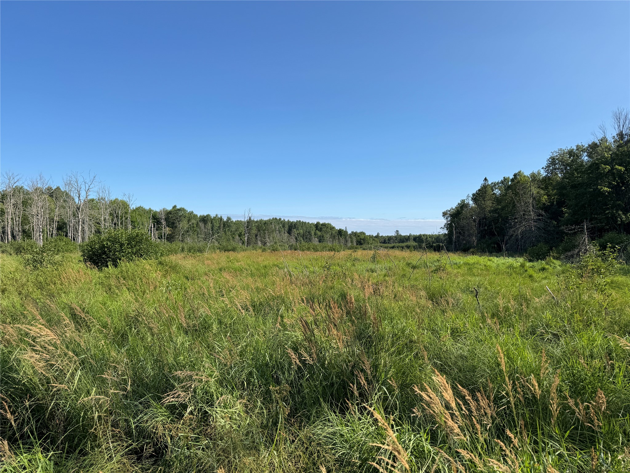 W10816 Bergman Rd. Merrill WI 54452 1603520 image27
