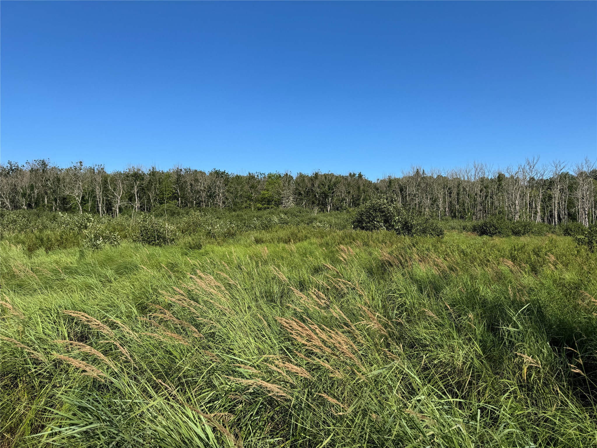 W10816 Bergman Rd. Merrill WI 54452 1603520 image28
