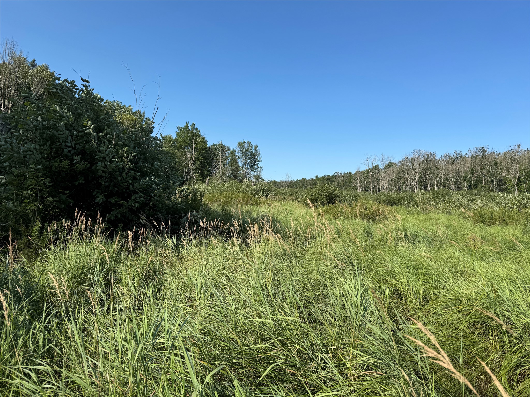 W10816 Bergman Rd. Merrill WI 54452 1603520 image29