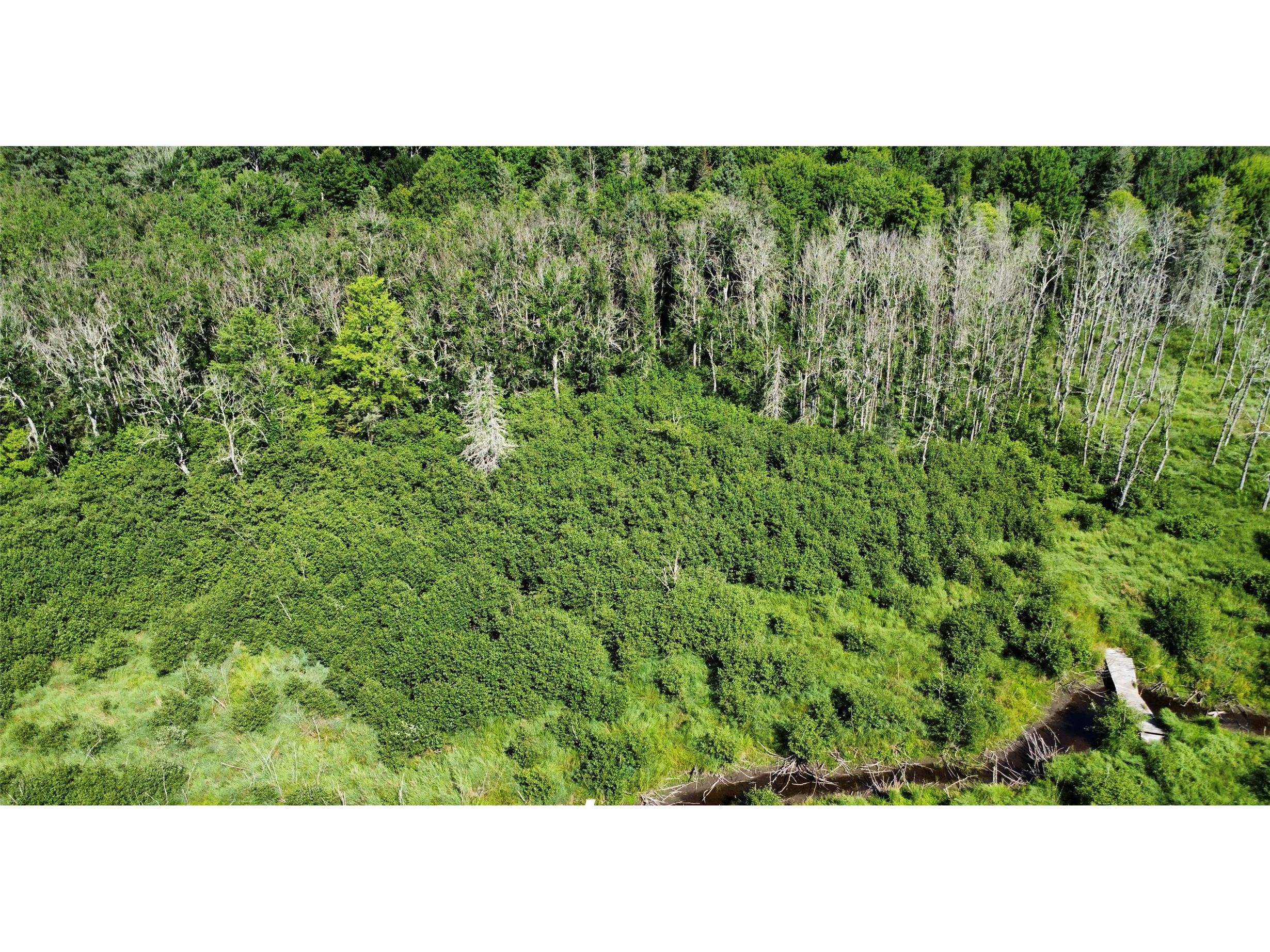 W10816 Bergman Rd. Merrill WI 54452 1603520 image3