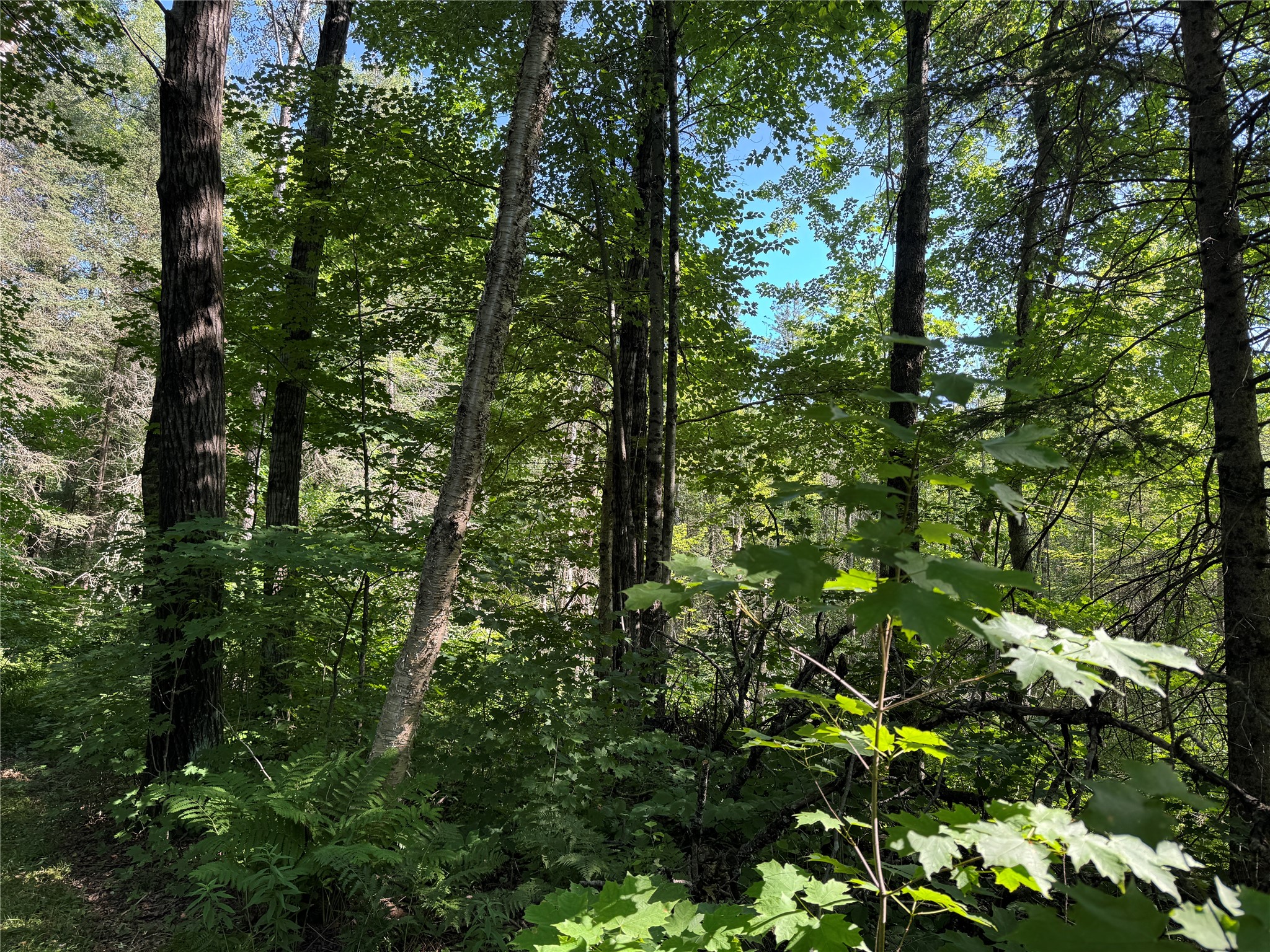 W10816 Bergman Rd. Merrill WI 54452 1603520 image31