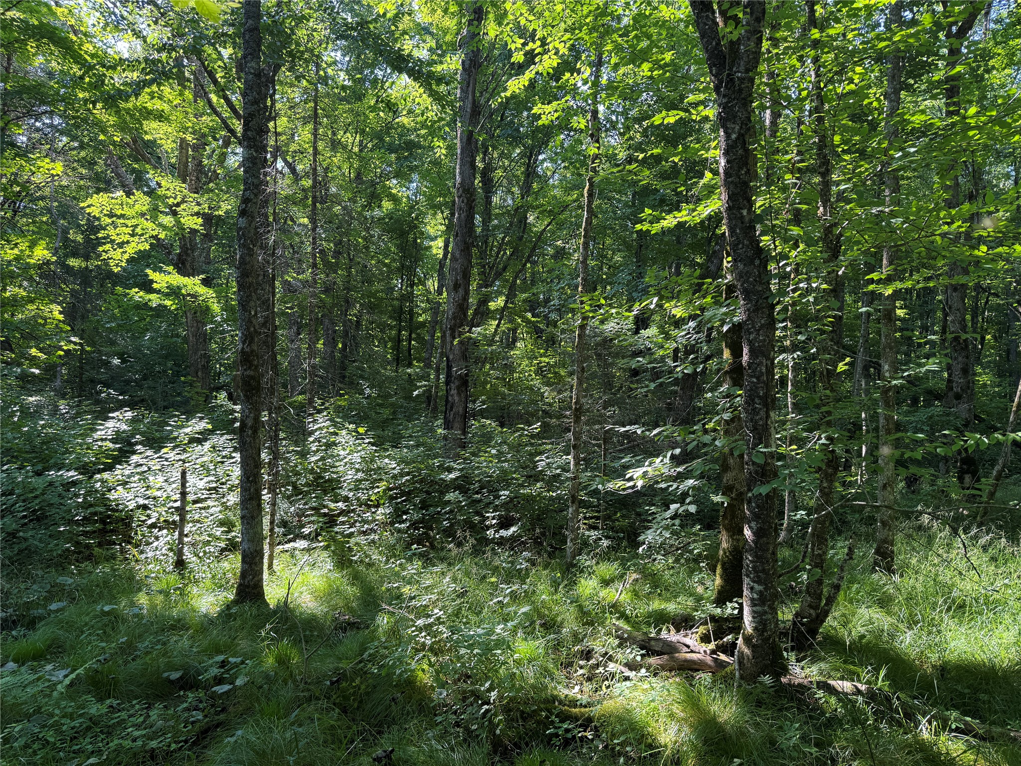 W10816 Bergman Rd. Merrill WI 54452 1603520 image32