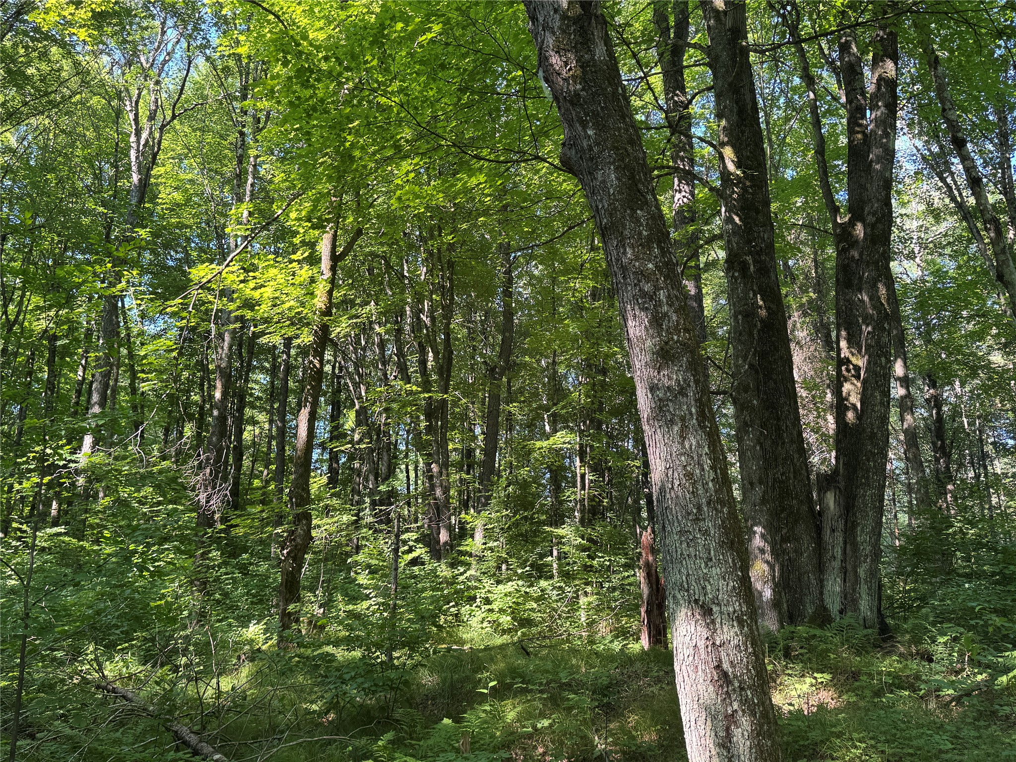 W10816 Bergman Rd. Merrill WI 54452 1603520 image33