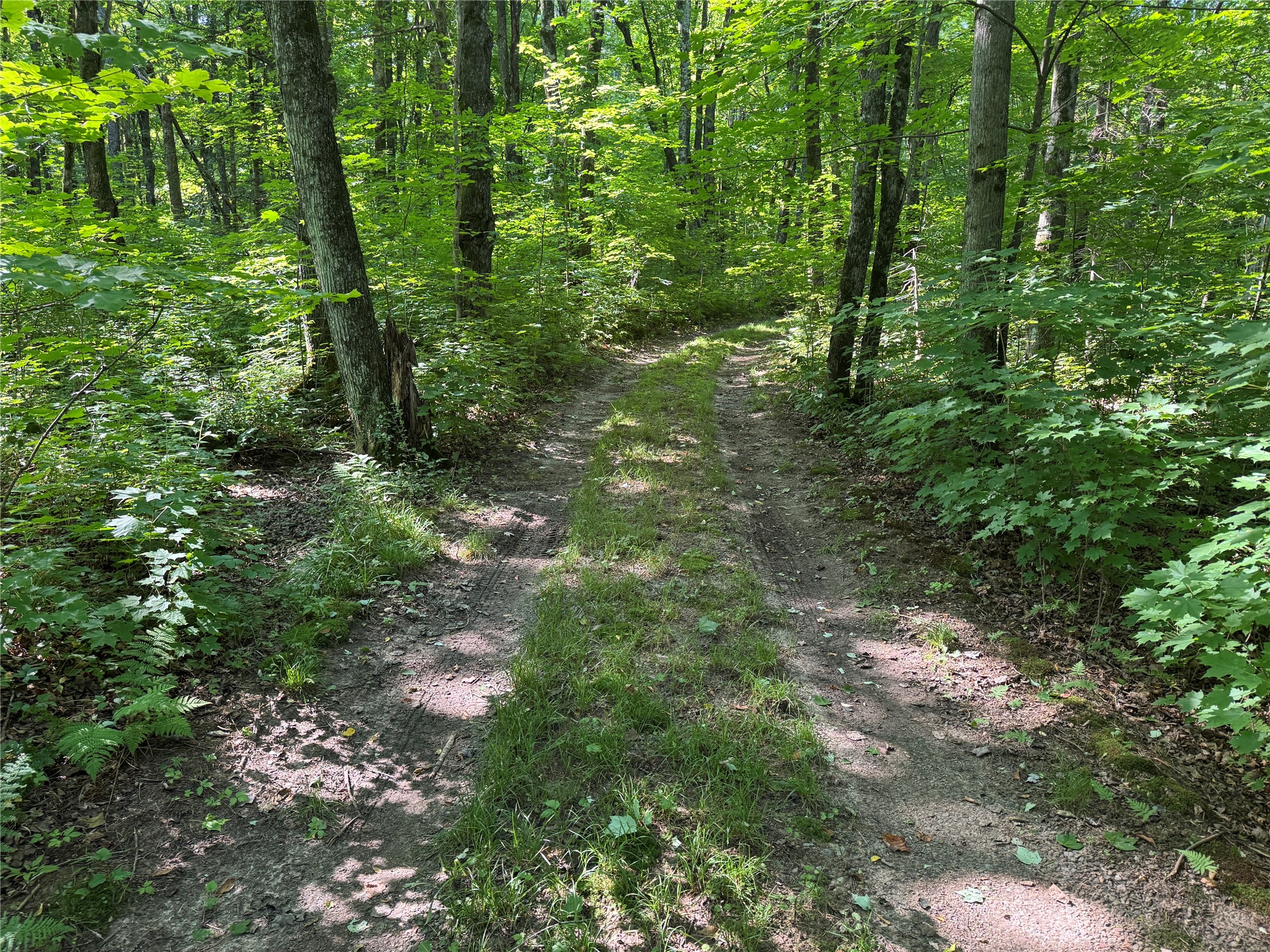 W10816 Bergman Rd. Merrill WI 54452 1603520 image34