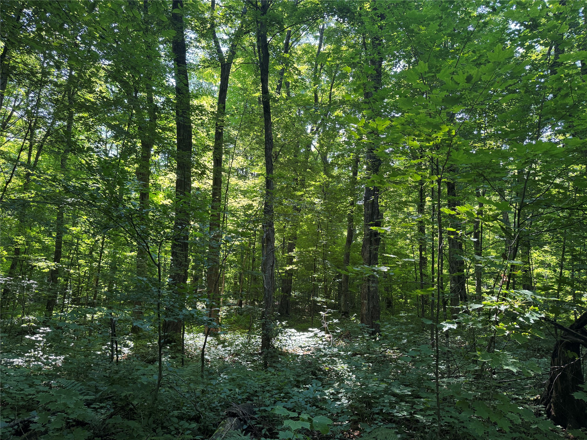 W10816 Bergman Rd. Merrill WI 54452 1603520 image35