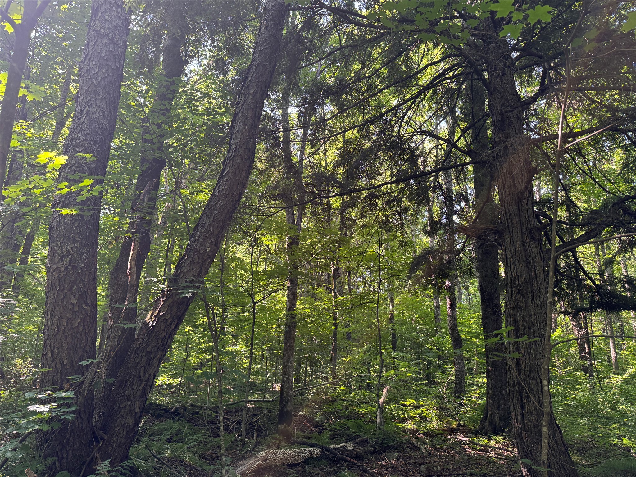 W10816 Bergman Rd. Merrill WI 54452 1603520 image36