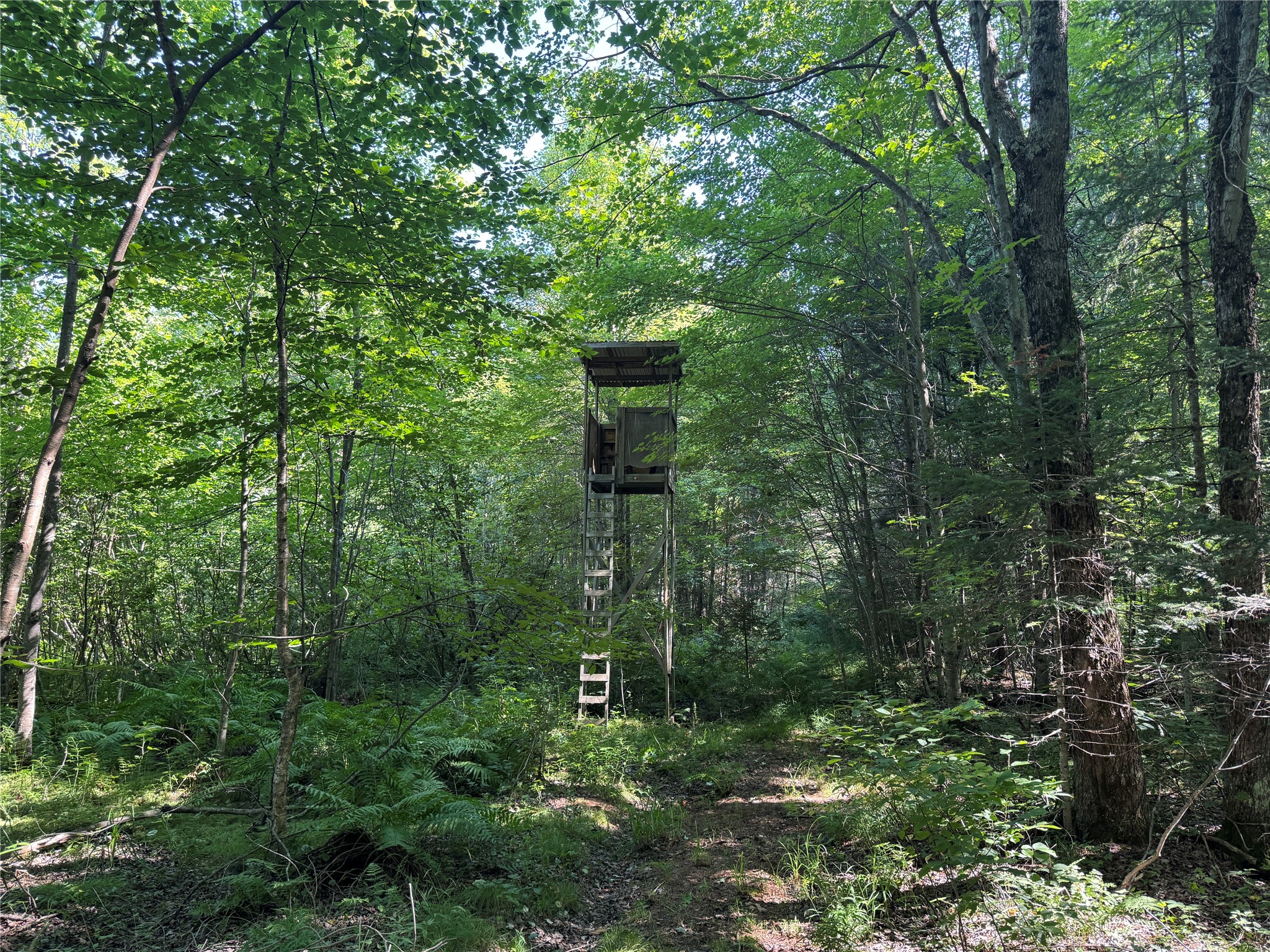 W10816 Bergman Rd. Merrill WI 54452 1603520 image37