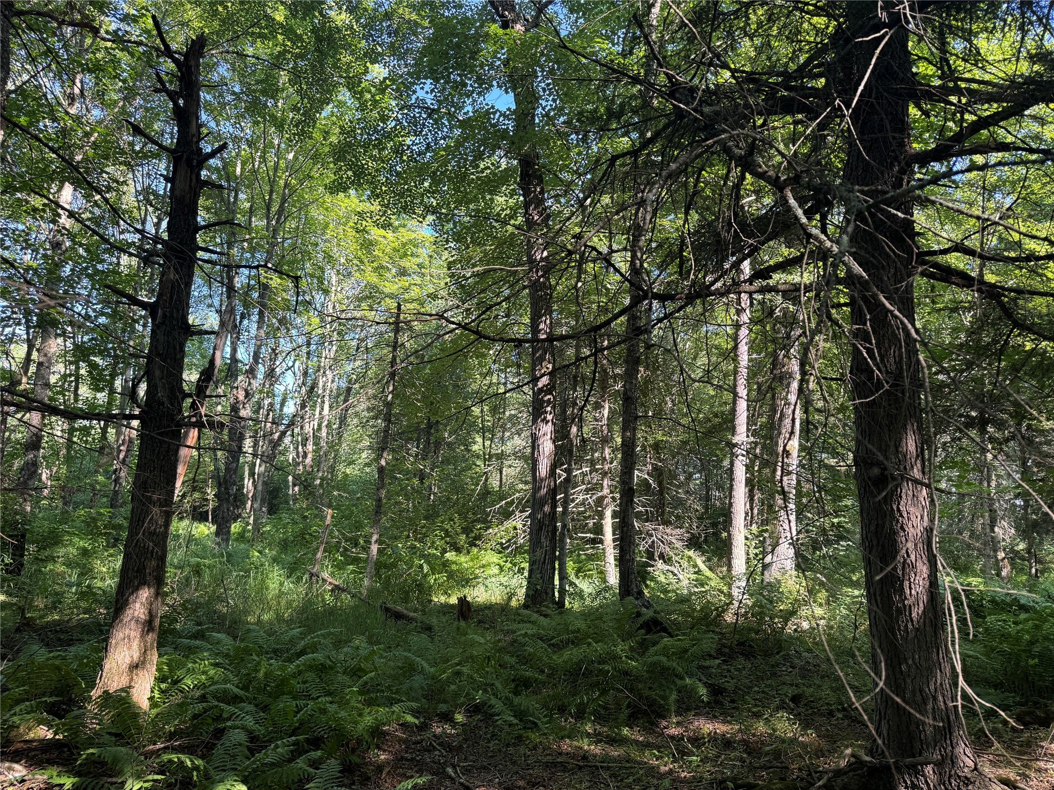 W10816 Bergman Rd. Merrill WI 54452 1603520 image38