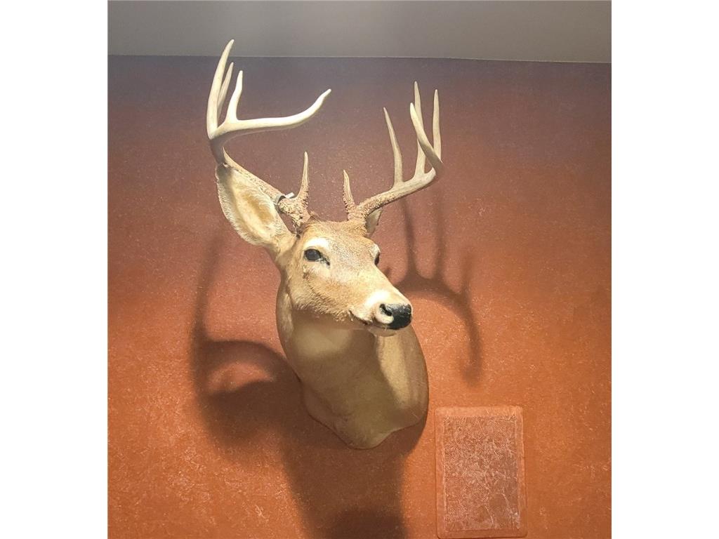 W10821 Johnson Road Merrillan WI 54754 1596073 image25