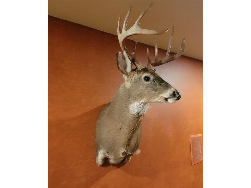 W10821 Johnson Road Merrillan WI 54754 1596073 image26