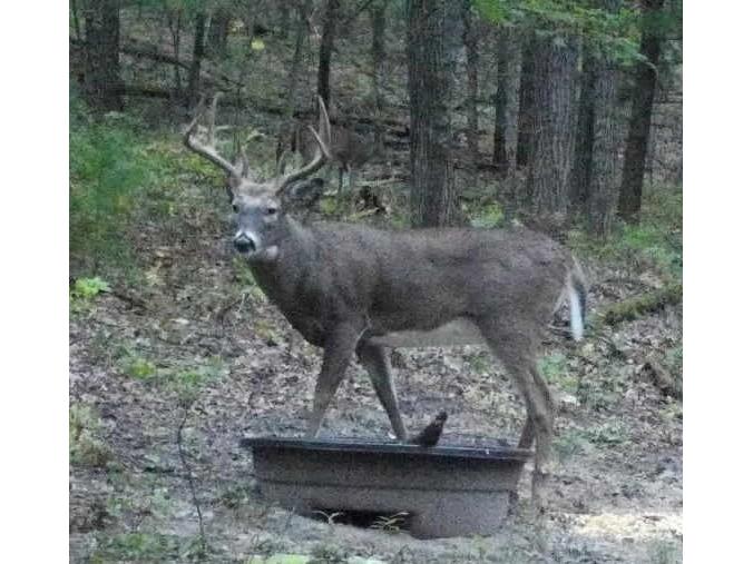 W10821 Johnson Road Merrillan WI 54754 1596073 image27