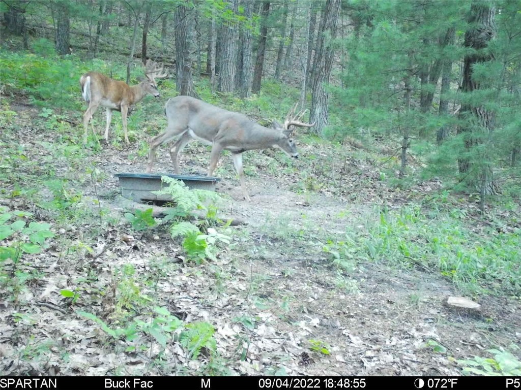 W10821 Johnson Road Merrillan WI 54754 1596073 image28