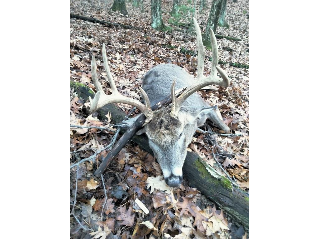 W10821 Johnson Road Merrillan WI 54754 1596073 image29