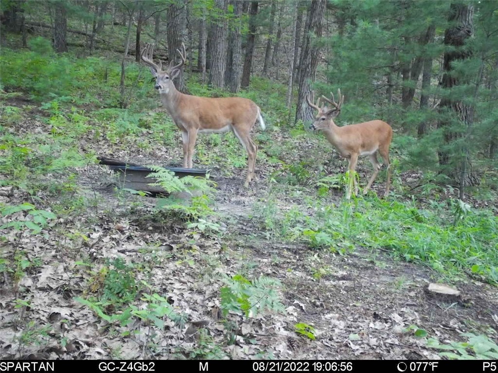 W10821 Johnson Road Merrillan WI 54754 1596073 image30