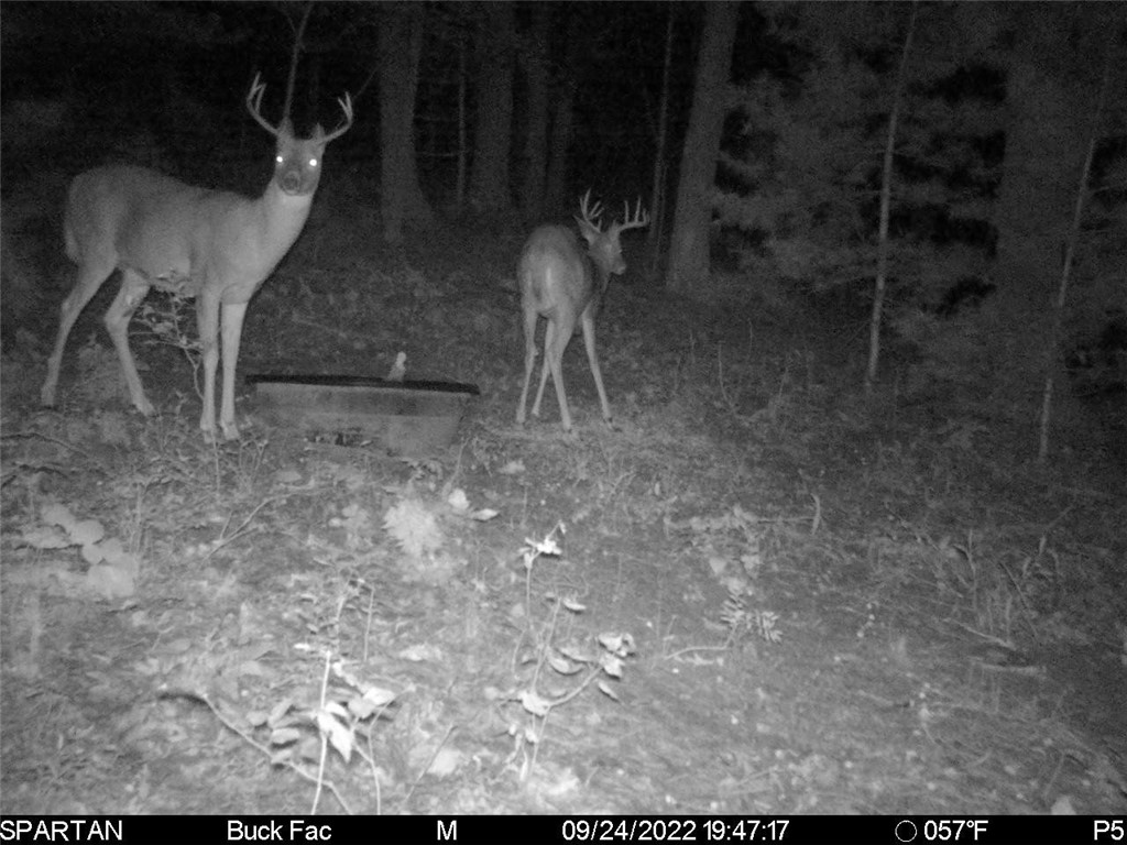 W10821 Johnson Road Merrillan WI 54754 1596073 image31