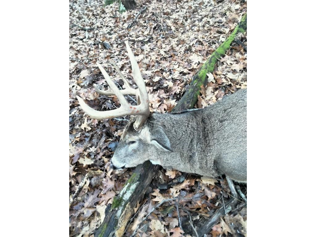 W10821 Johnson Road Merrillan WI 54754 1596073 image32