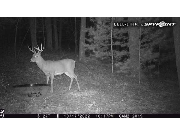 W10821 Johnson Road Merrillan WI 54754 1596073 image33