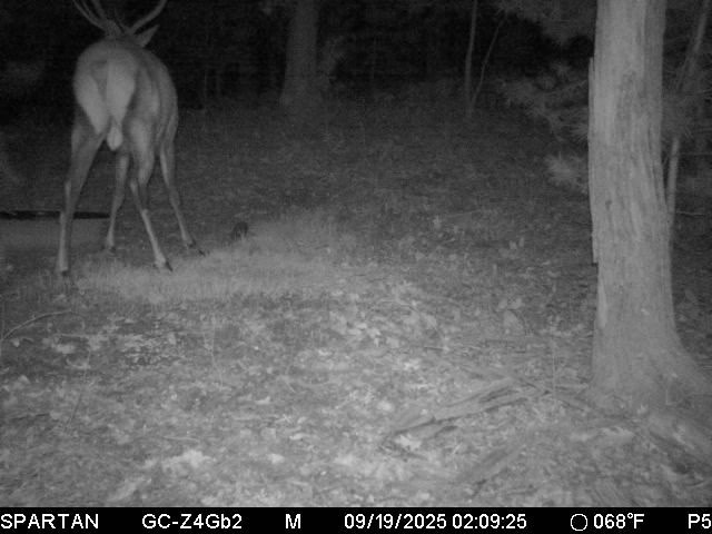 W10821 Johnson Road Merrillan WI 54754 1596073 image35