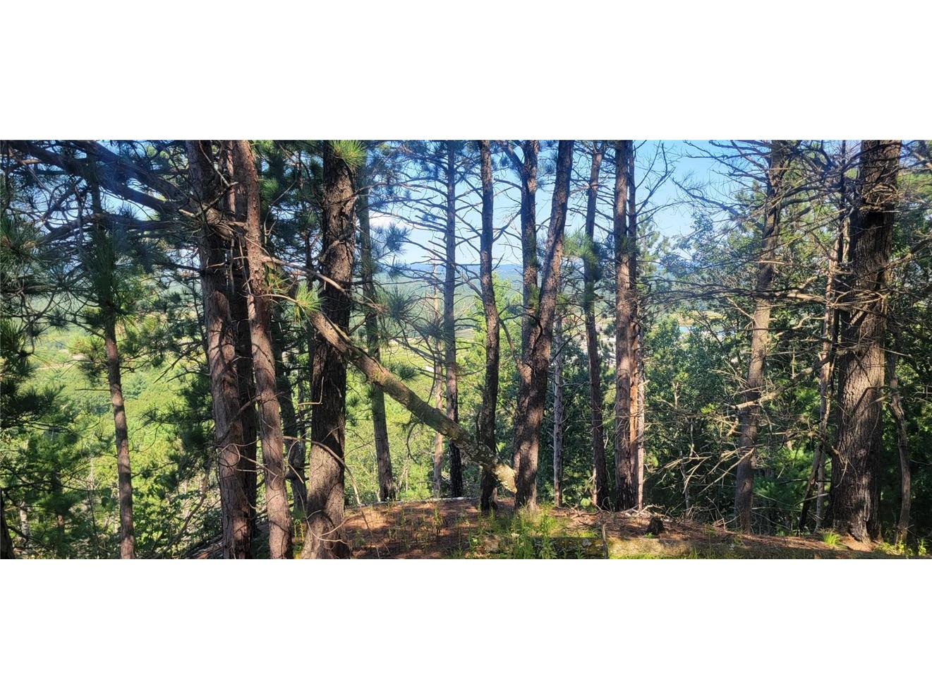 W10821 Johnson Road Merrillan WI 54754 1596073 image37