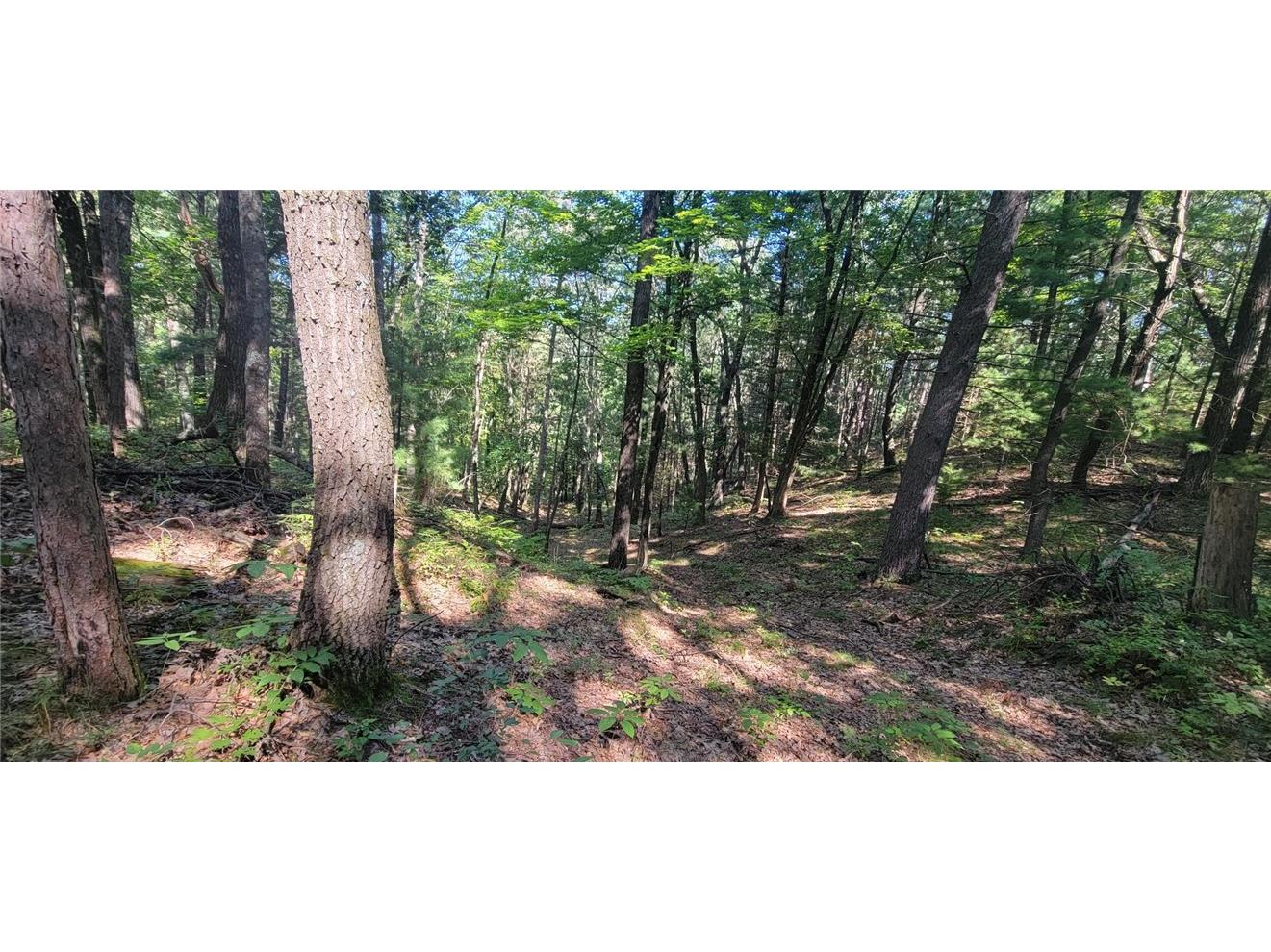 W10821 Johnson Road Merrillan WI 54754 1596073 image38