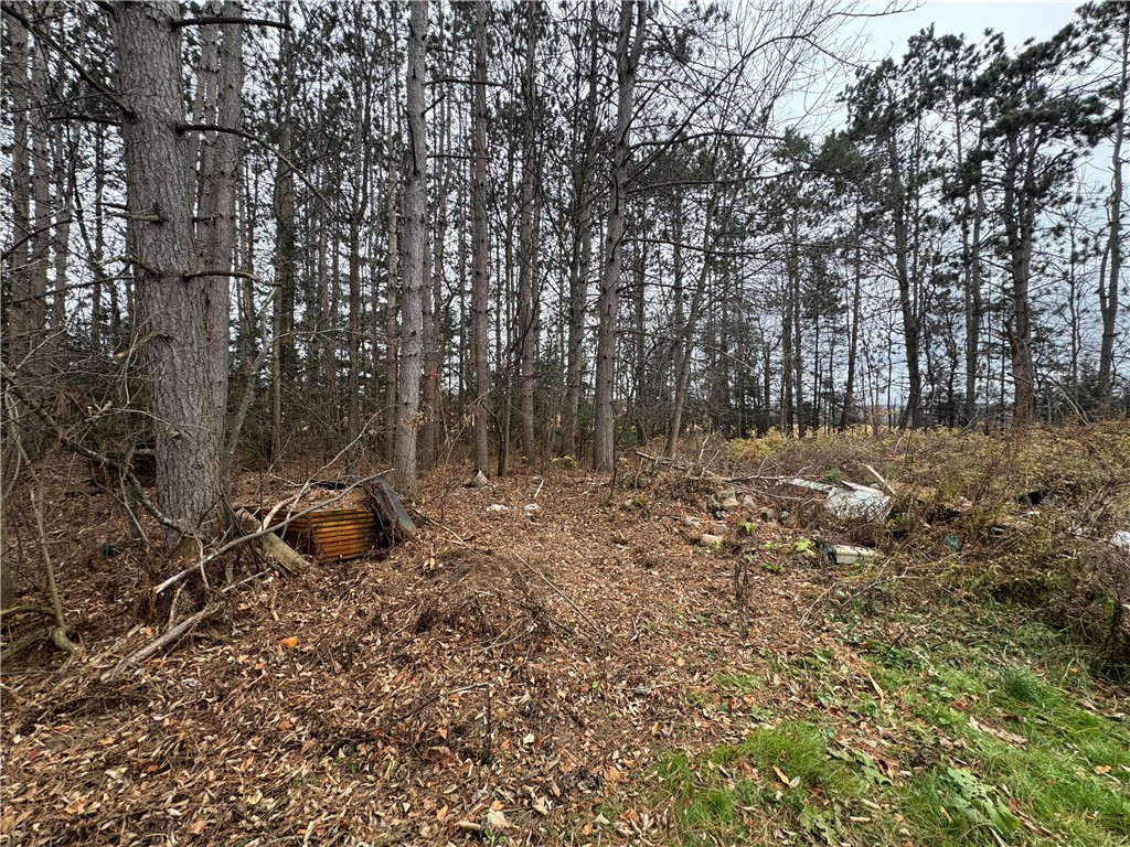 W11204 County Road H Bruce WI 54819 1597017 image11