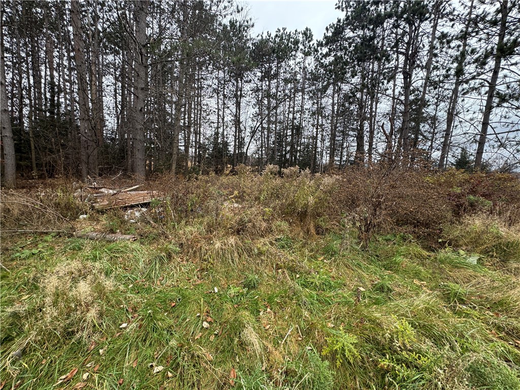 W11204 County Road H Bruce WI 54819 1597017 image8