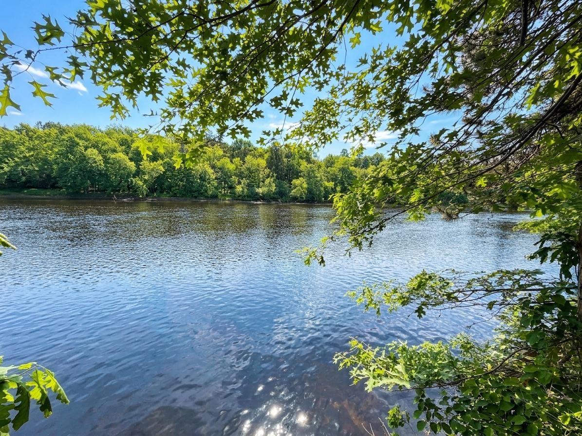 W11546 River Ridge Lane Bruce WI 54819 - Chippewa 1601440 image35