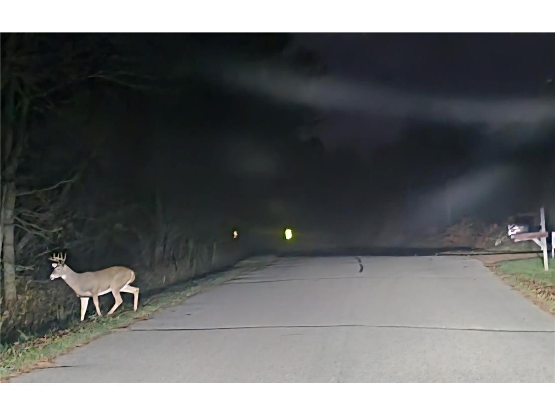 W11601 Sand Road Merrillan WI 54754 1596244 image2