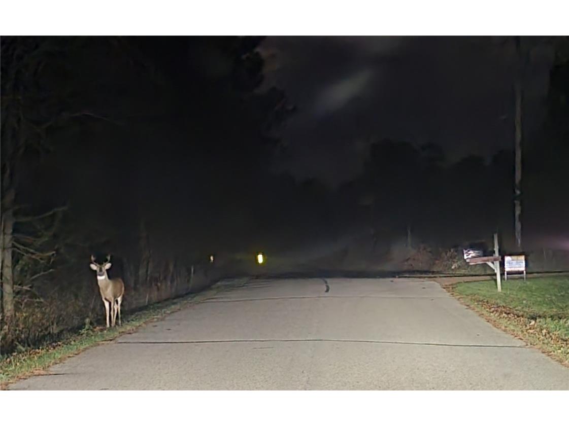 W11601 Sand Road Merrillan WI 54754 1596244 image3