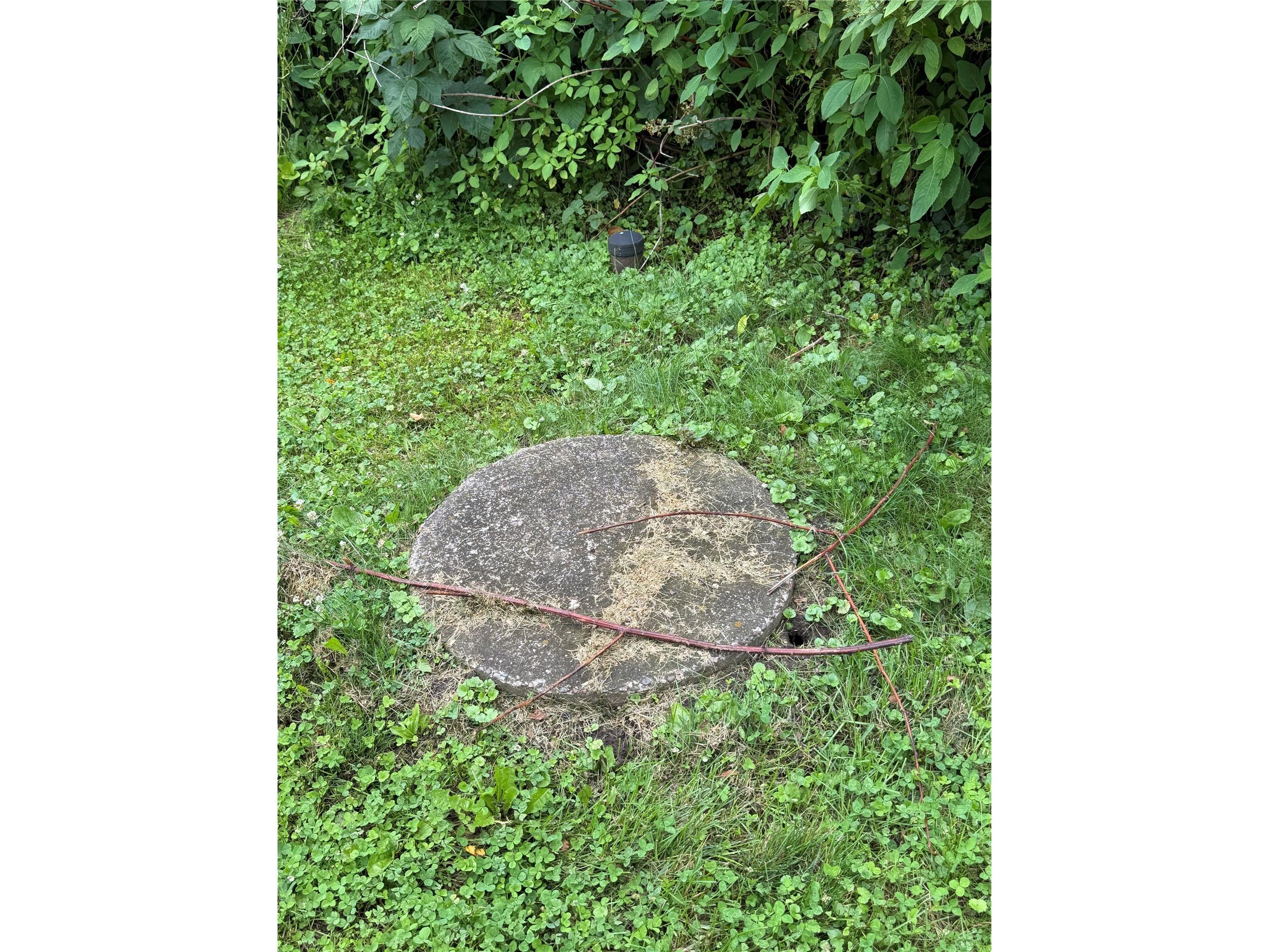 W12272 E Giloy Road Humbird WI 54746 1602915 image21
