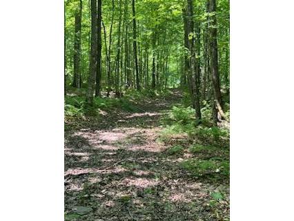 W12404 W Sentinal Ash Road Bruce WI 54819 1574574 image1