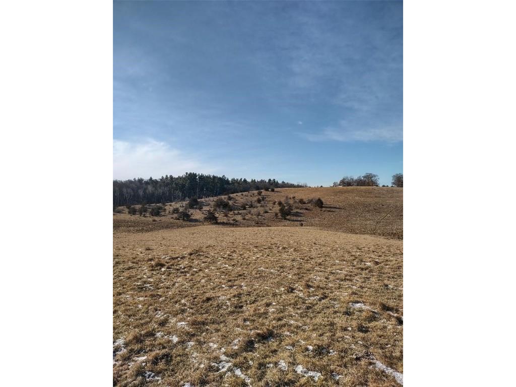 W12107 E Moore Road Humbird WI 54746 1588151 image1