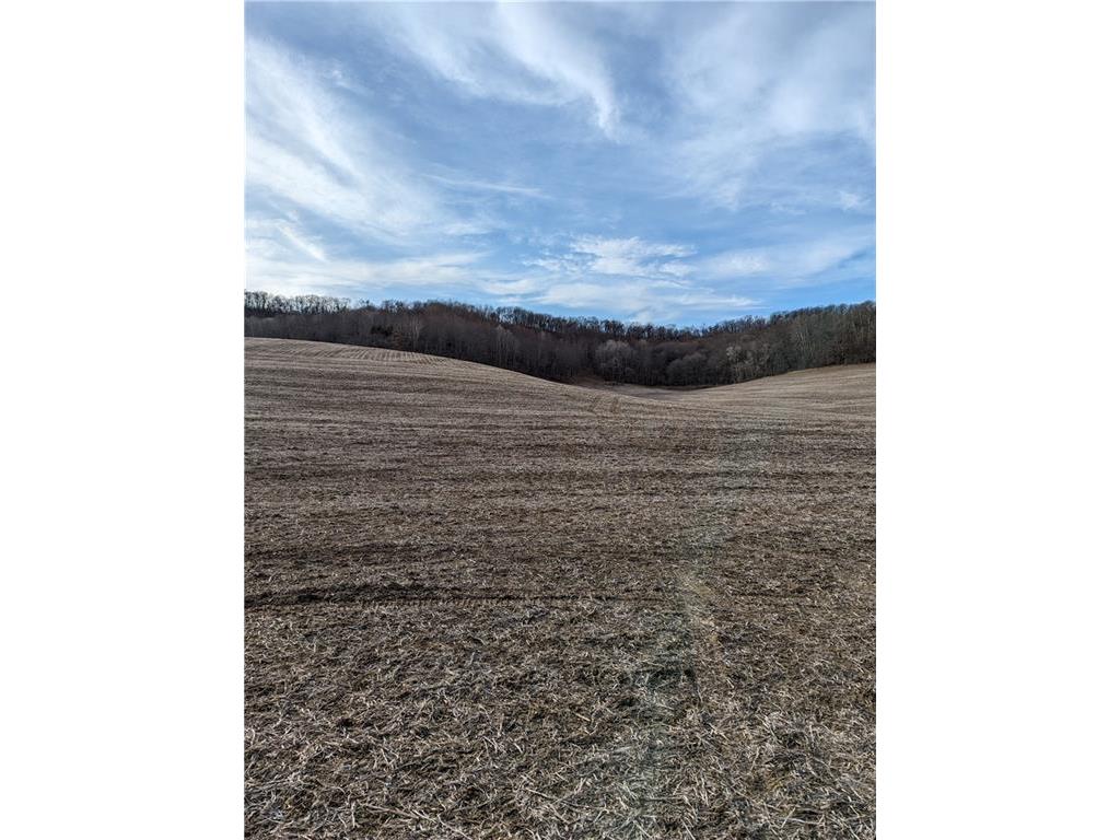 W1316 Dregney Road Mondovi WI 54755 1580205 image1