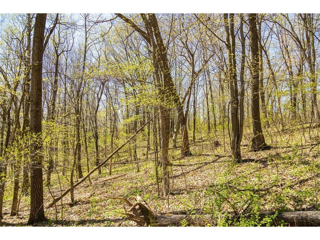 W1349 Hurlburt Road Mondovi WI 54755 1597226 image52