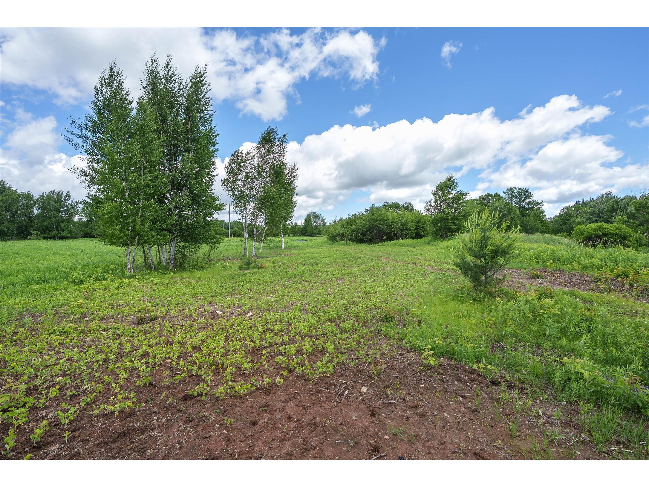 W13775 Shiner Drive Lublin WI 54447 1602423 image2