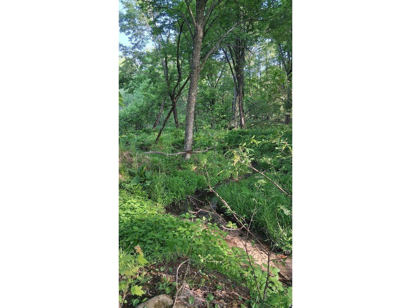 W14006 County Road B Fairchild WI 54741 1601905 image10