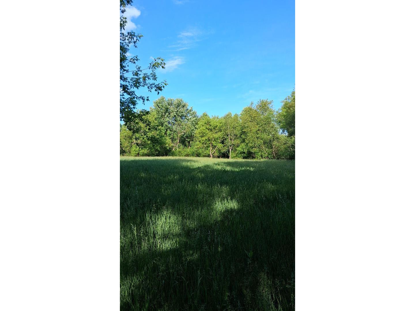 W14006 County Road B Fairchild WI 54741 1601905 image13
