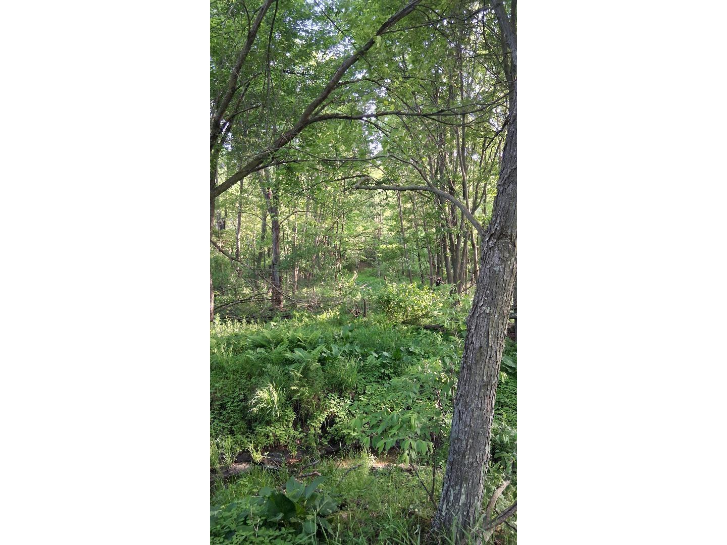 W14006 County Road B Fairchild WI 54741 1601905 image15