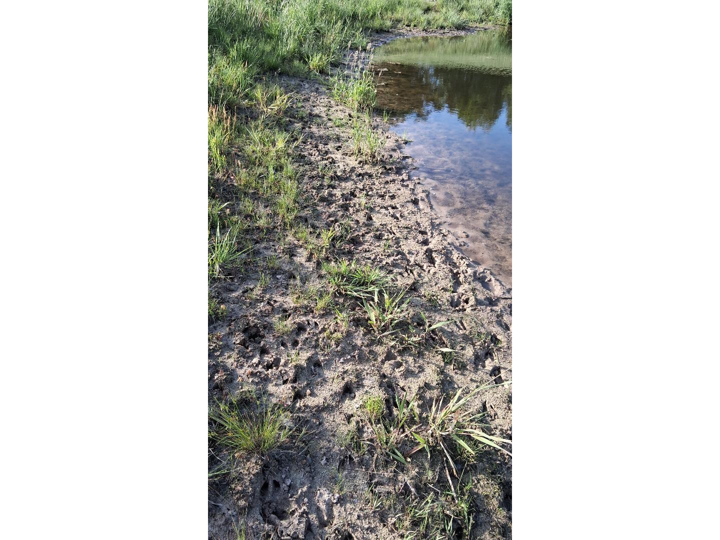 W14006 County Road B Fairchild WI 54741 1601905 image19