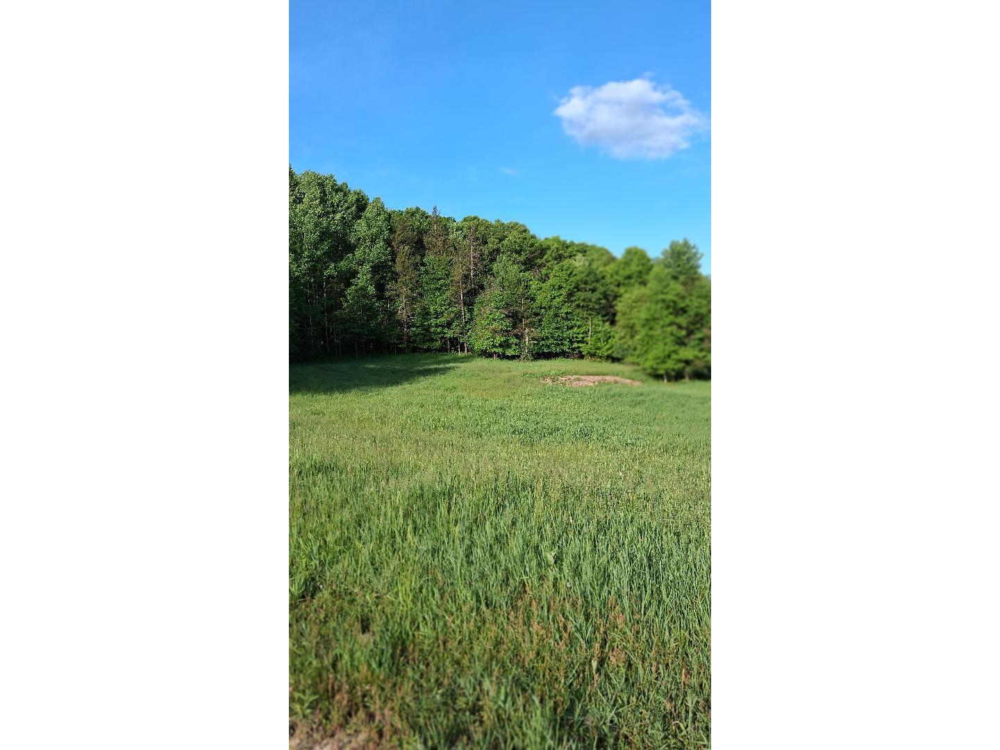 W14006 County Road B Fairchild WI 54741 1601905 image2