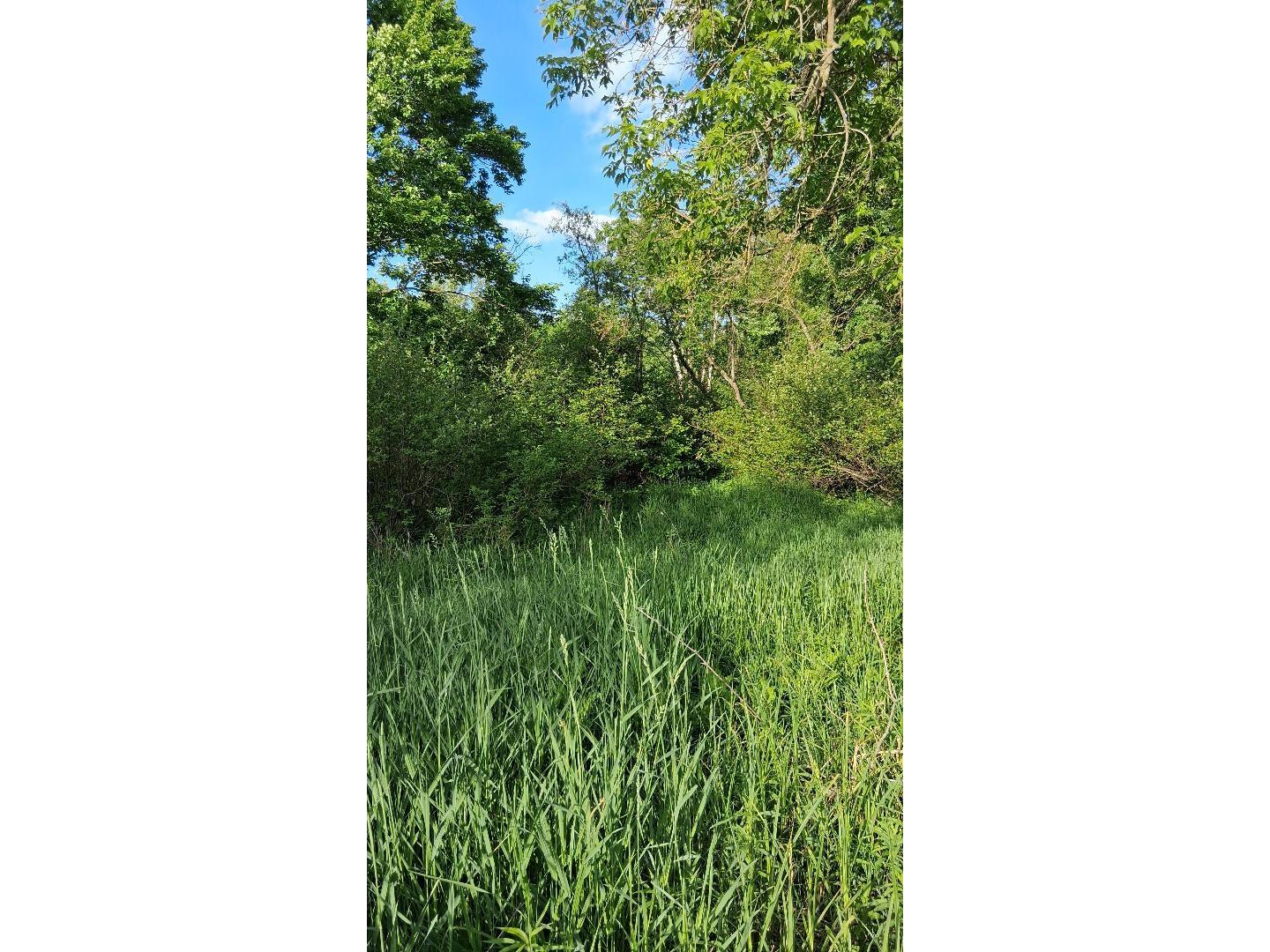 W14006 County Road B Fairchild WI 54741 1601905 image20