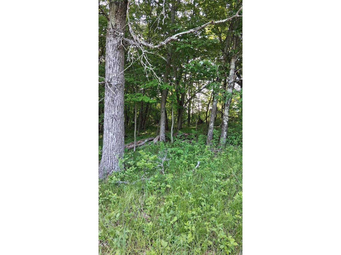W14006 County Road B Fairchild WI 54741 1601905 image22