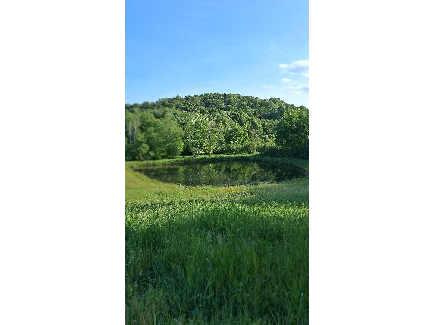 W14006 County Road B Fairchild WI 54741 1601905 image3