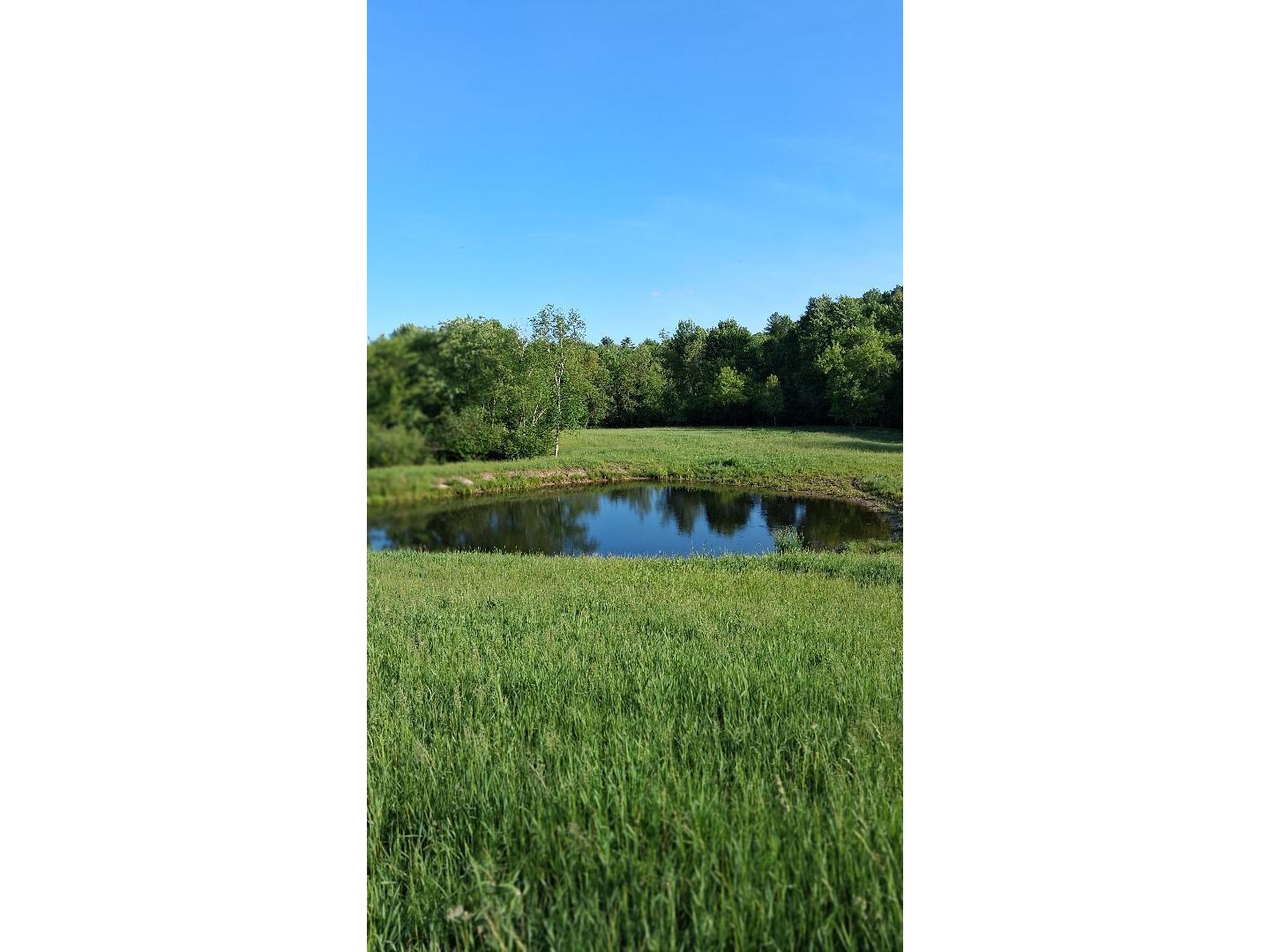 W14006 County Road B Fairchild WI 54741 1601905 image6