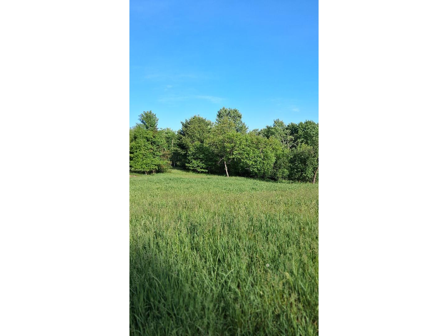 W14006 County Road B Fairchild WI 54741 1601905 image8