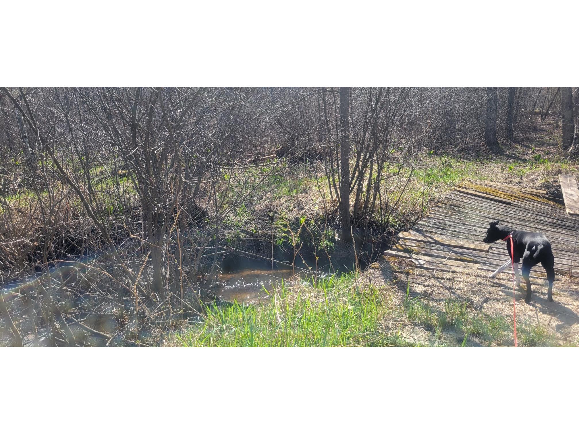 W14103 County P Highway Taylor WI 54659 - French Creek 1600415 image1