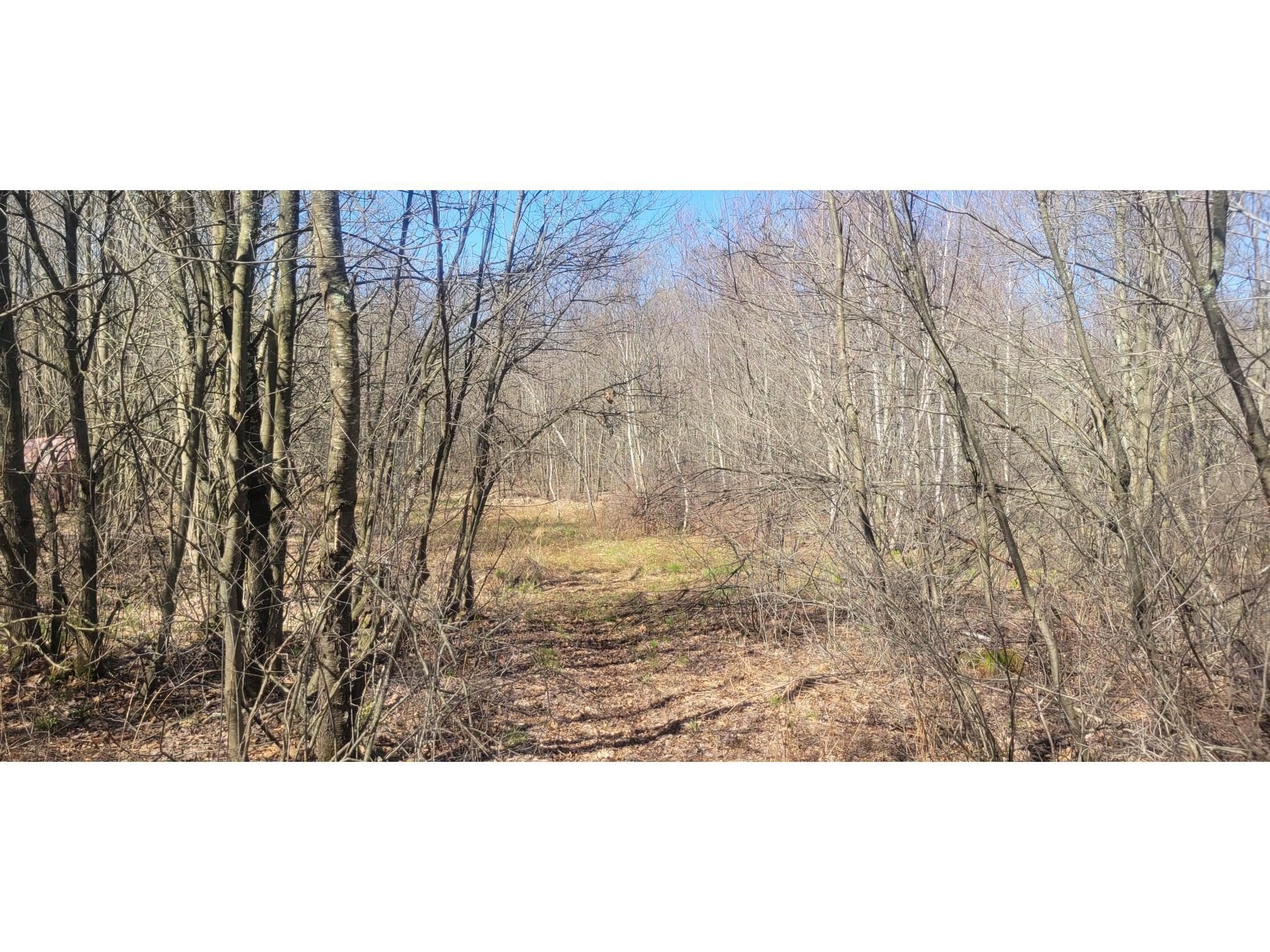 W14103 County P Highway Taylor WI 54659 - French Creek 1600415 image10